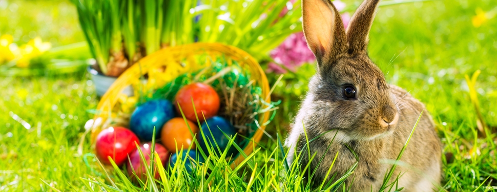 Virginia Beach Town Center Spring Easter Eggstravaganza